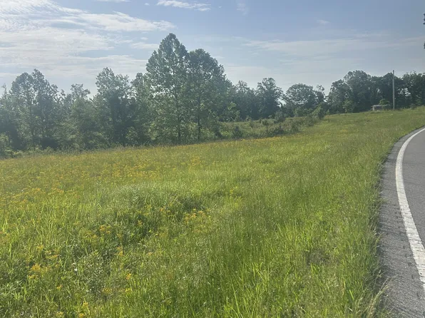 2047 Buffalo Rd #2-lot TRK, Hohenwald, TN 38462