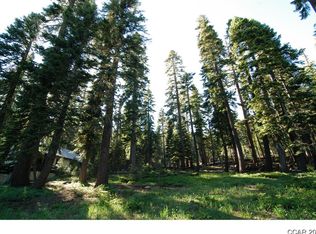 74 Spring Cliff Rd, Bear Valley, CA 95223