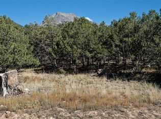 6 Alder St, Crestone, CO 81131