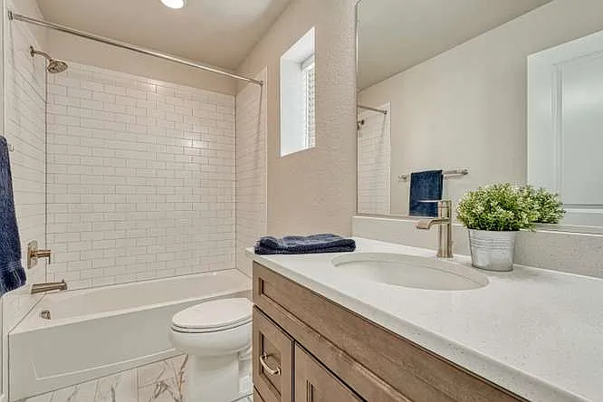6855 Starry Night Ln — Photo 30