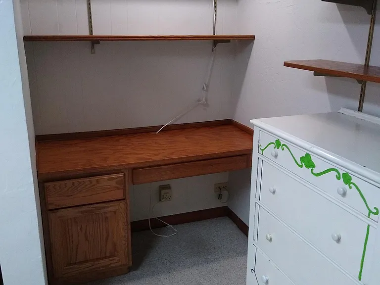 1940 Larkspur Dr #BASEMENT — Photo 13