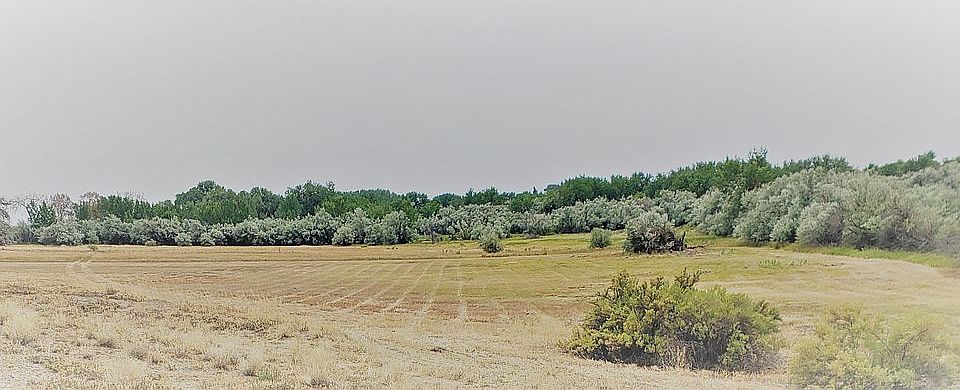 2nd image of 13 Lane