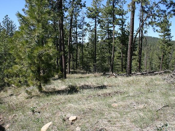 5th image of Xx Coyote Canyon Rd