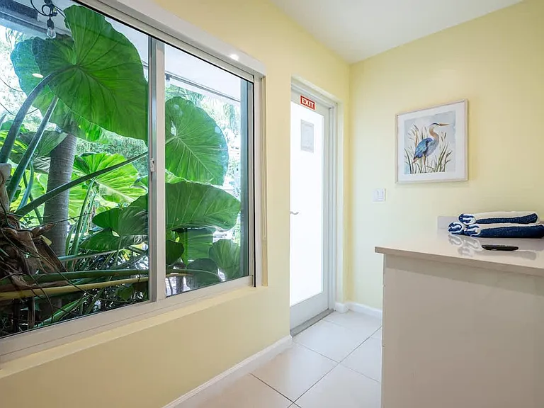 Window View