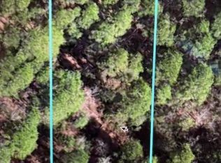 250 S Horsepen Road, Harrells, NC 28444