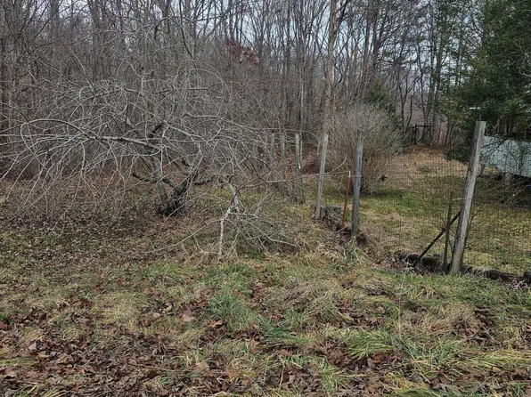 LOT 1 Obis Bowling Rd, Robbins, TN 37852