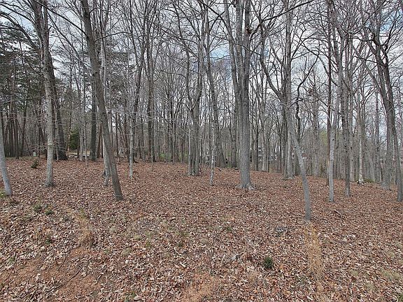 5th image of 329 Morgans Mill Dr