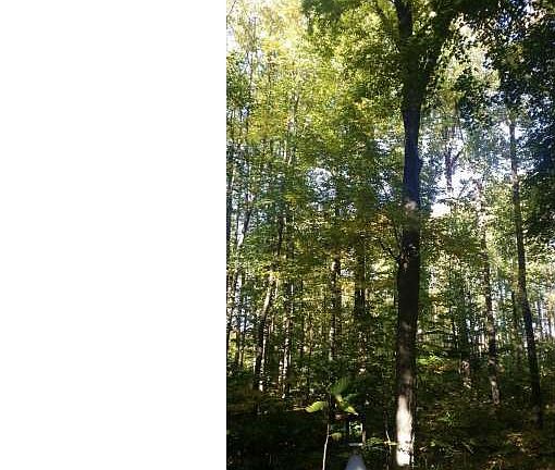4th image of 1660 Upper Ridge Rd