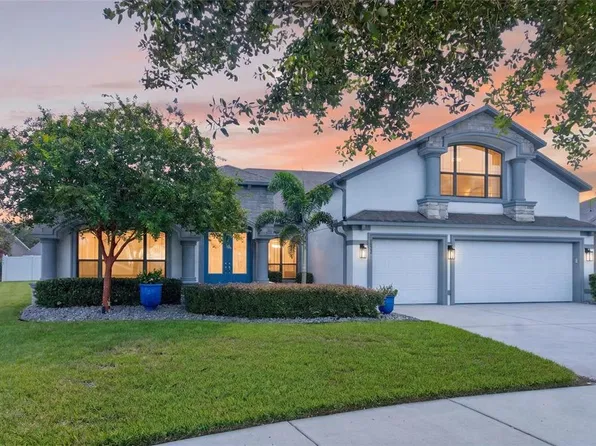 2823 COLEWOOD LANE, DOVER, FL 33527