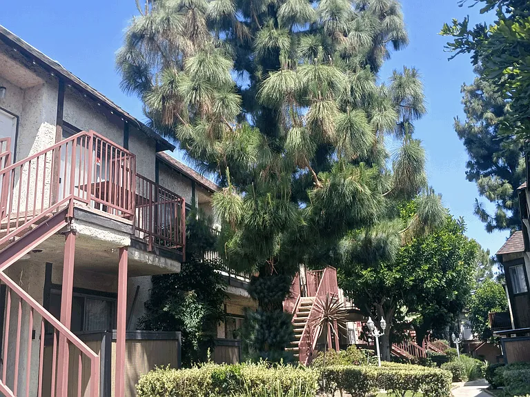 The Brooktree Estates Apartments — Photo 13