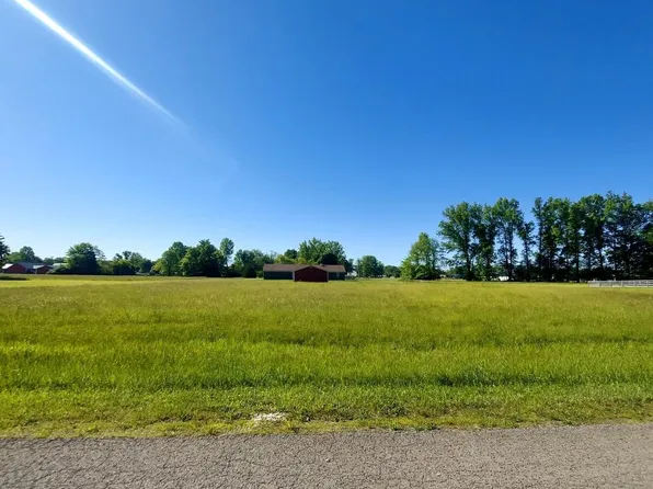 171 Black Hawk Dr, Sardinia, OH 45171