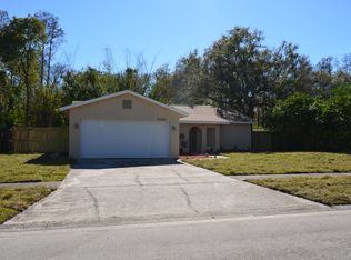 14606 Knoll Ridge Dr, Tampa, FL 33625