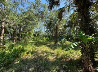 24911 E Colonial Dr, Christmas, FL 32709
