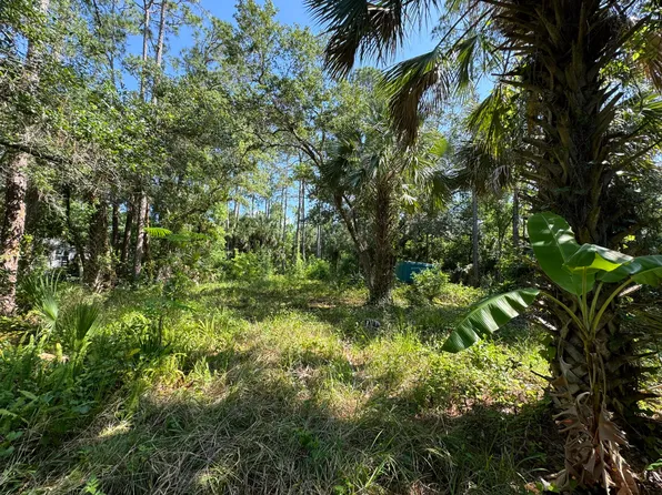 24911 E Colonial Dr, Christmas, FL 32709