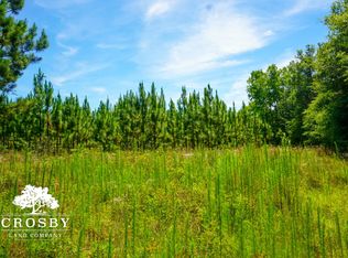 0 Branch Rd, Glenwood, GA 30428