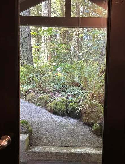 Cottage front door looking in to garden