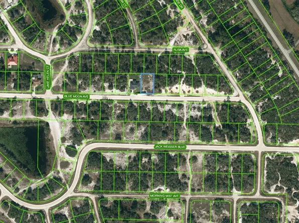 464 BLUE MOON AVENUE LOT 18, LAKE PLACID, FL 33852