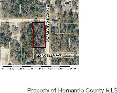 1st image of 11185 Mexican Canary Ave