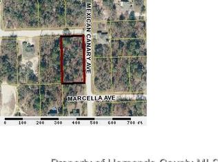 11185 Mexican Canary Ave, Brooksville, FL 34614