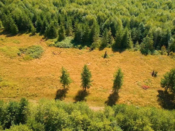 304 Dream View Lane, Cinebar, WA 98533