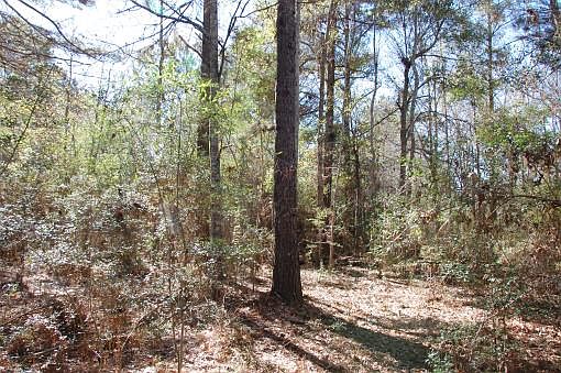 5th image of 3281 State Highway 966
