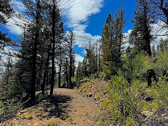 3rd image of 2022 Middle Fork