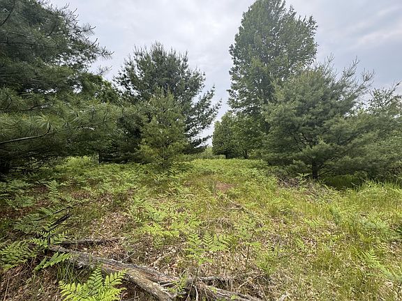 2nd image of 6336 Cedar Trce