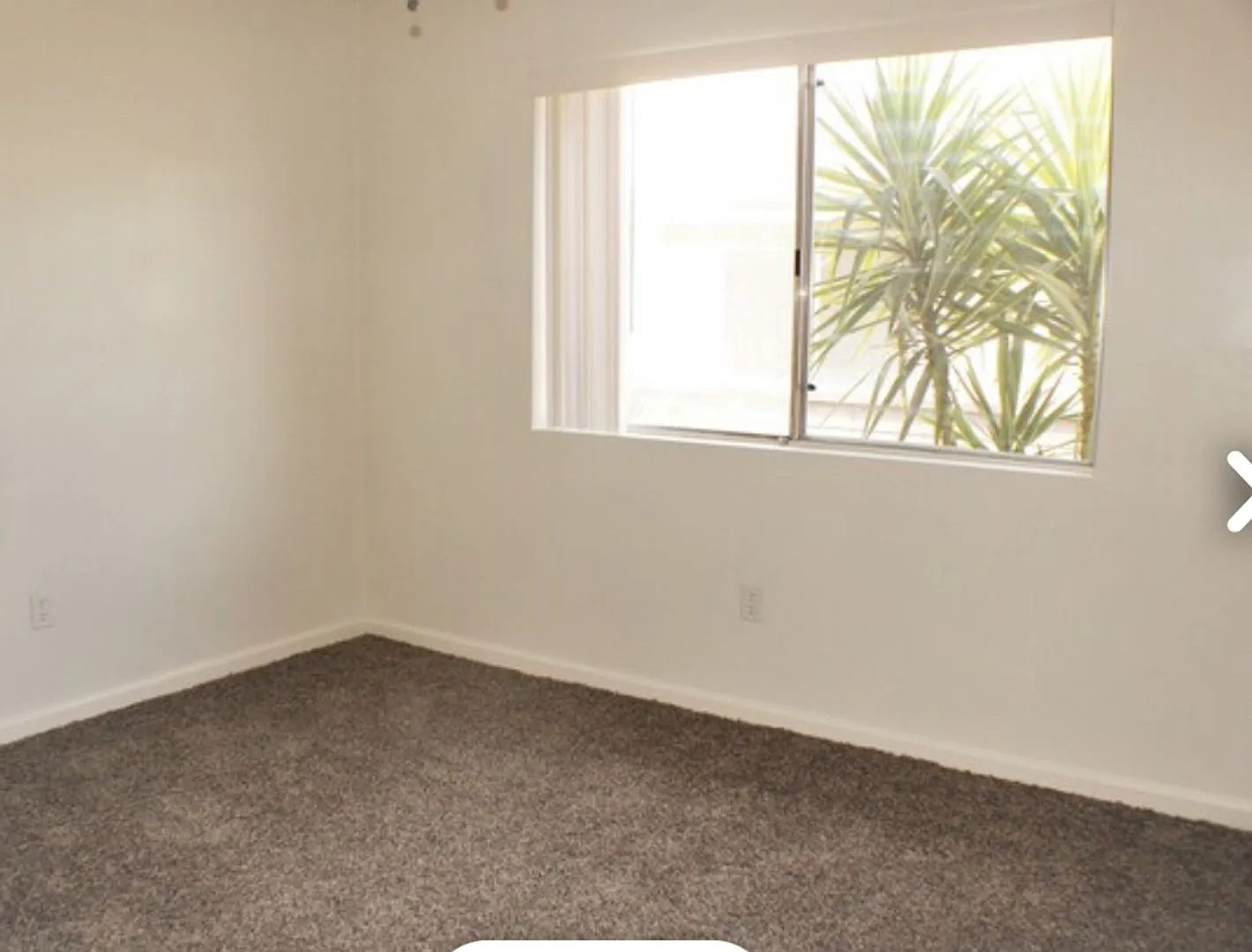529 Knotts — Photo 4