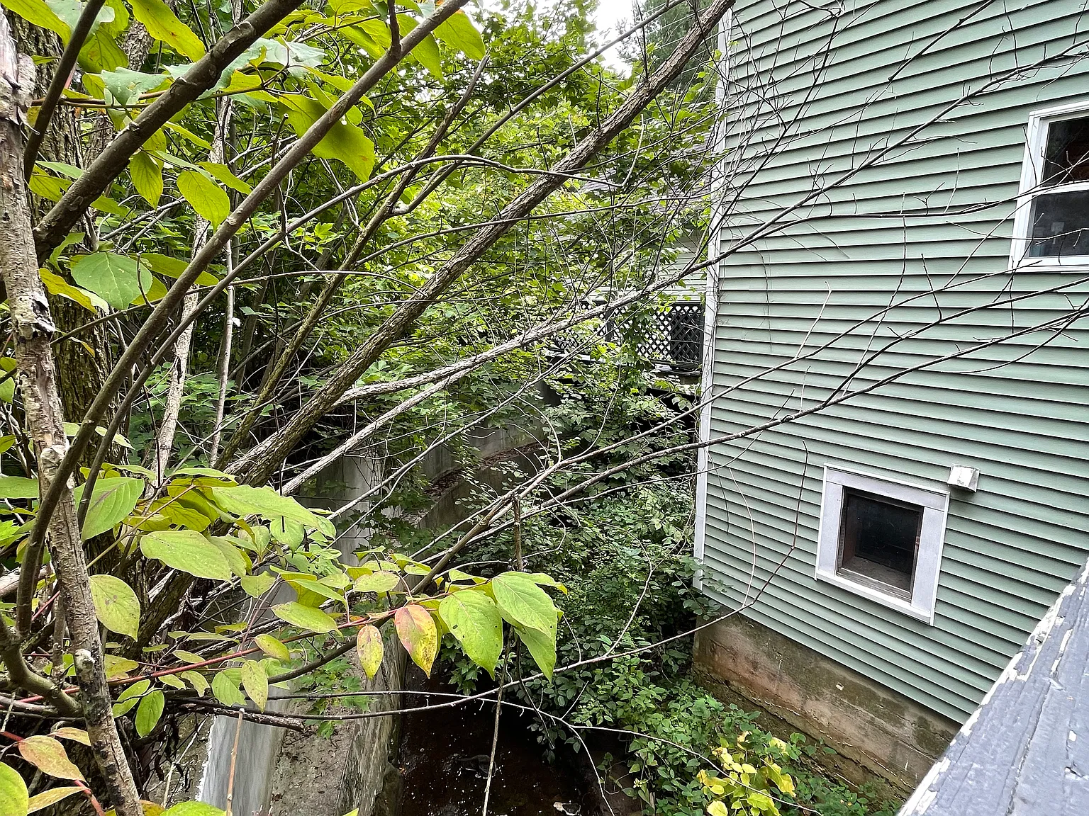 3 bed, 1882 sqft, $2,895 — Photo 2