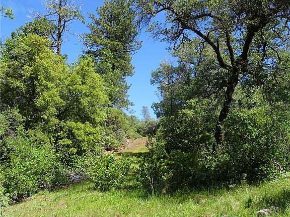 4th image of 0 Powell Ridge Rd