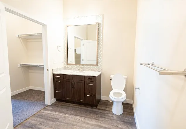 Bathroom with Modern Design Features Bathroom with Modern Design Features