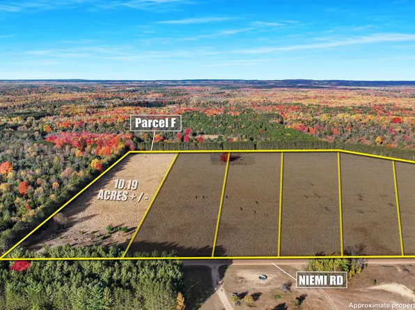 0 Niemi Rd Parcel F, Kaleva, MI 49645