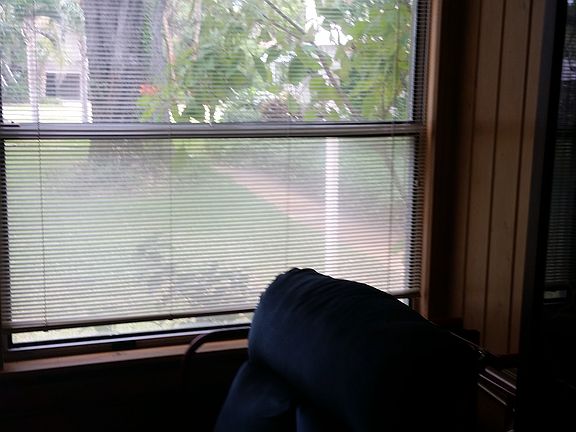 Room with Queen Bed or Sun Room