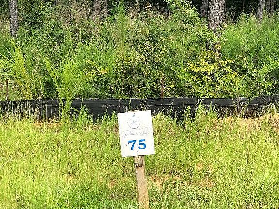 5th image of 75 Pinnacle Shores Dr