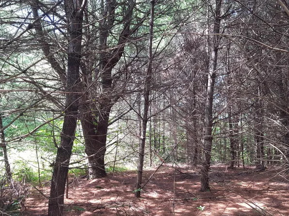 LOT#12 Harrison Road Road, Naples, ME 04055