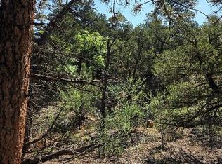 506 Kevin Dr, Cotopaxi, CO