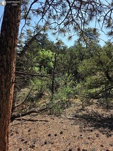 506 Kevin Dr, Cotopaxi, CO, 81223