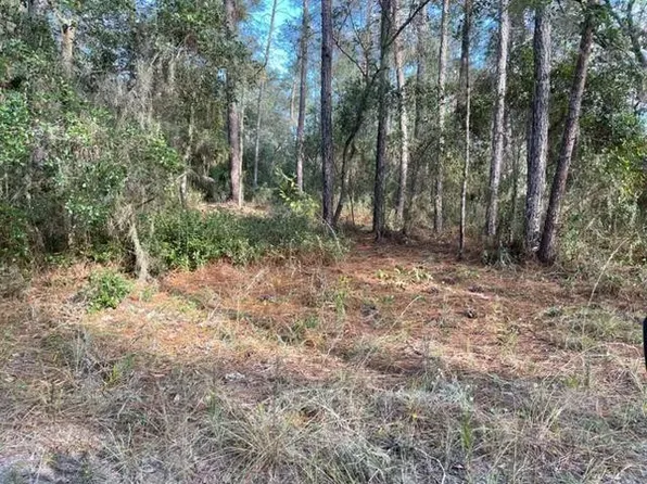 417 Incline, Satsuma, FL 32189