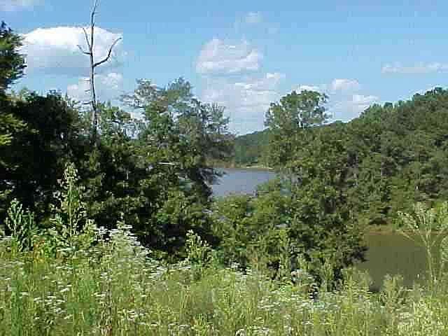 2nd image of 0 Northwoods