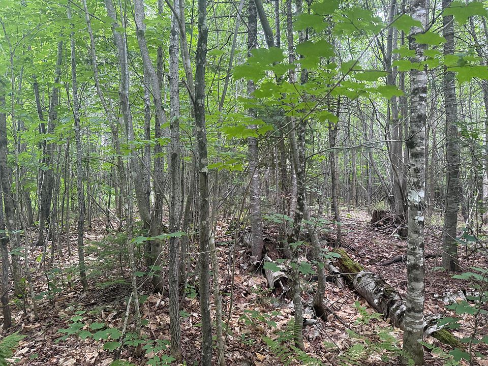 1st image of R1 L12 Hovey Road