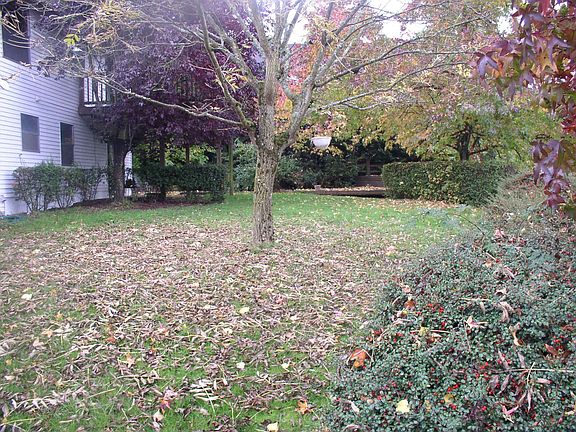 back yard