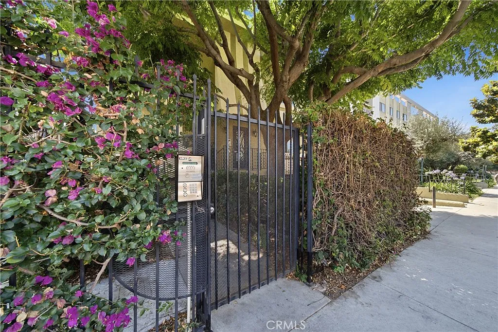 2 bed, 1024 sqft, $3,250 — Photo 3