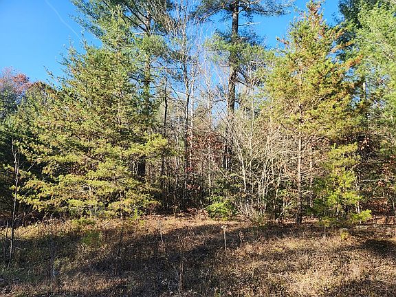 5th image of LOT 25 Shotgun Annie Rd