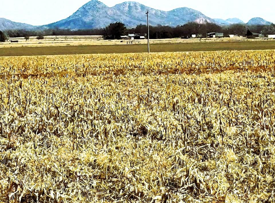 2nd image of 9 South County Rd #206