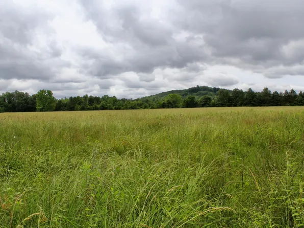 26461 State Highway 33, Courtland, AL 35618