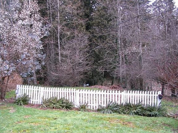Near Leach Botanical Gardens