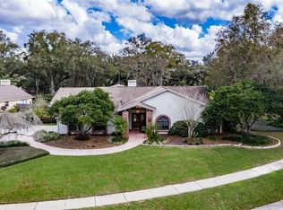 18301 Pleasant Ridge Pl, Lutz, FL 33548