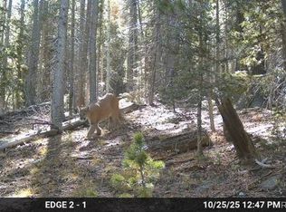 Lot 3427 Grojean Drive LOT 3427, Fort Garland, CO 81133
