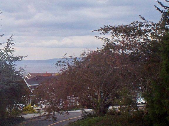 View of Sound and Olympic Mountains