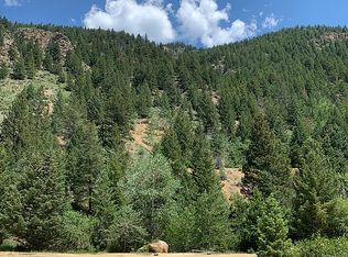 0 Biddle St #2-3, Georgetown, CO 80444